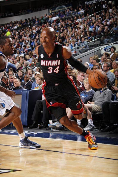 纹状体回路 纹状体回路